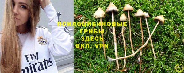 эйфоретик Алексин