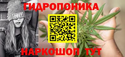 jwh Владимир