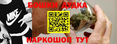 прущие грибы Владикавказ