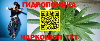прущие грибы Владикавказ