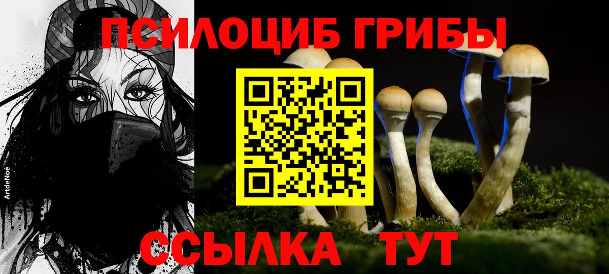 Псилоцибиновые грибы мухоморы  Вход с VPN  Псилоцибиновые грибы прущие грибы  Барнаул 