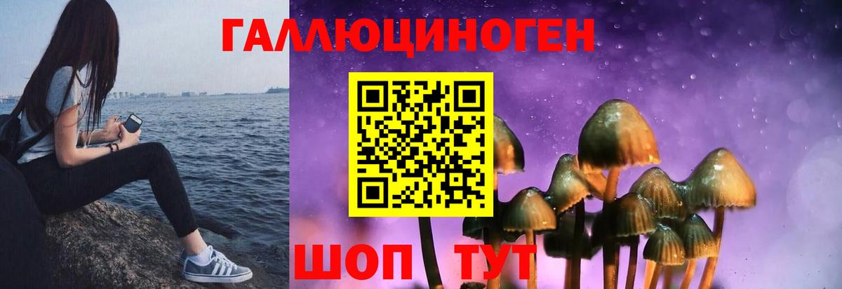 Галлюциногенные грибы прущие грибы Барнаул