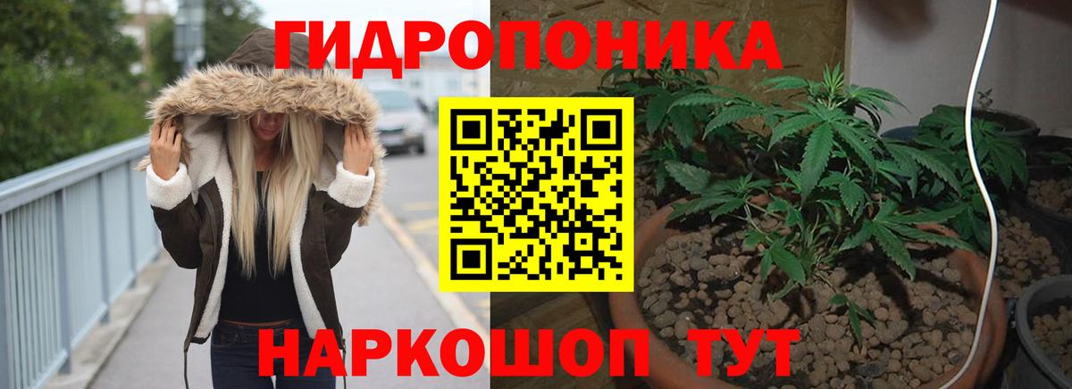 Марихуана марихуана  Каннабис план  Барнаул  Вход с VPN  Бошки марихуана SATIVA & INDICA 